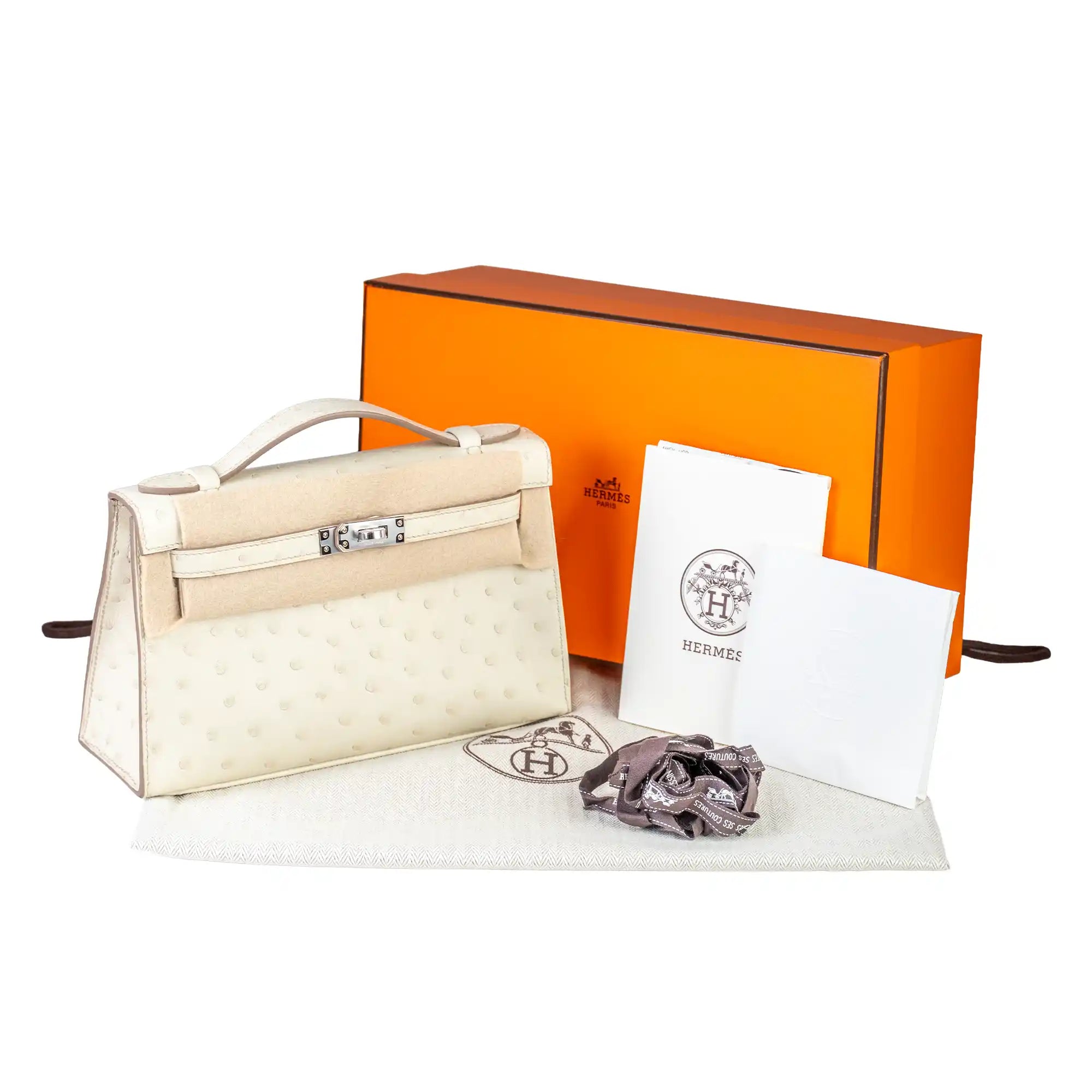 Hermes Mini Kelly Pochette Nata Ostrich White Palladium Hardware - Full set