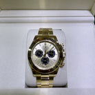 Rolex Daytona Golden Black Dial Yellow Gold Oyster 126508 - Front