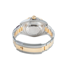 Rolex Sea-Dweller Yellow Gold Oystersteel Black 126603 - Back