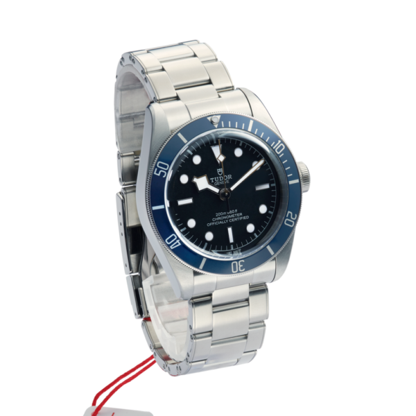 Tudor Black Bay 41mm 79230b-0008 Black Dial Color Watch Side View 4